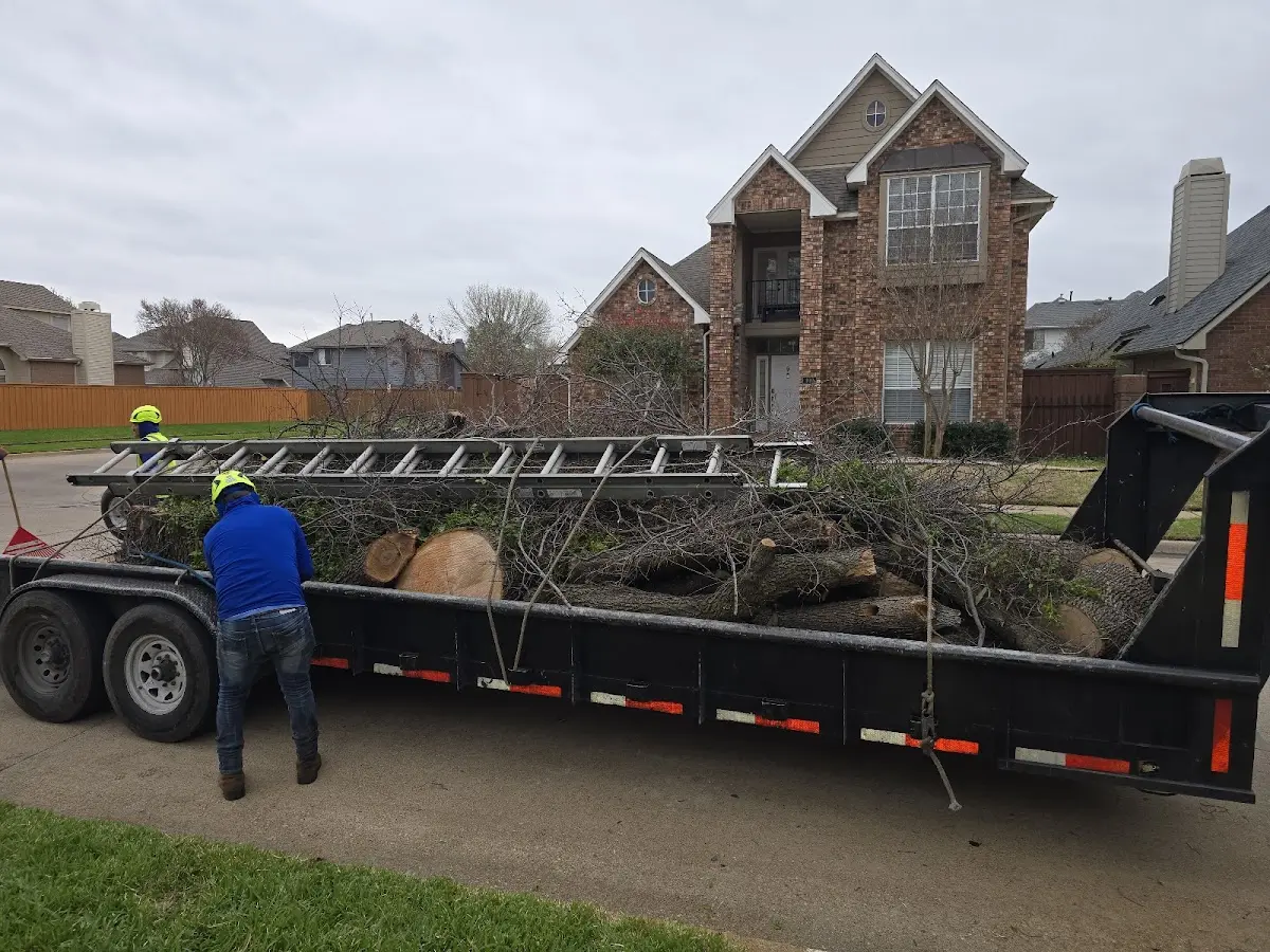 Expert Lot Clearing with proper safety equipment in Danville